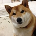 20120309-115615.jpg
