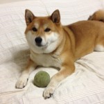 20120309-120301.jpg