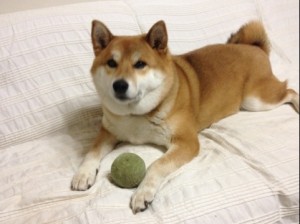20120309-120301.jpg
