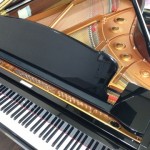 20120419-143950.jpg