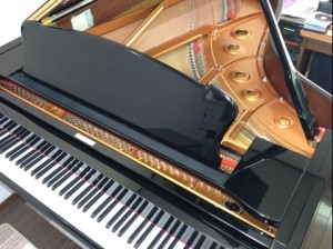 20120419-143950.jpg