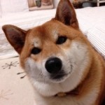 20120513-215555.jpg