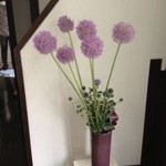 20120611-095808.jpg