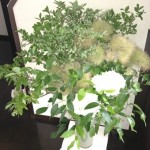 20120625-093402.jpg