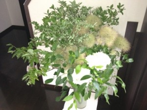 20120625-100622.jpg