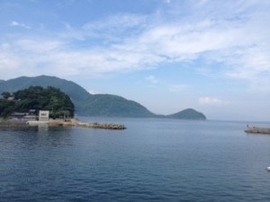 20120811-145614.jpg