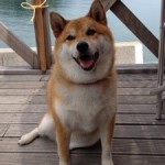 20120815-213941.jpg
