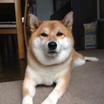 20121012-105524.jpg