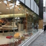 20121101-144528.jpg