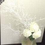 20121206-091113.jpg