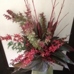 20121225-221551.jpg