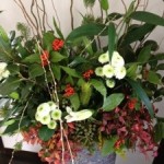 20130102-154228.jpg